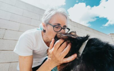 Caring For Elderly Pets: Tips And Tricks For Families