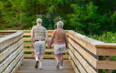 Creating Meaningful Connections Through Elderly Companionship