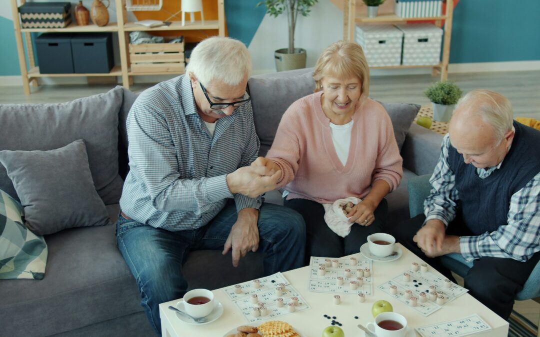 Senior Companionship
