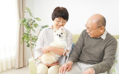 Tips for Managing Pet Care When Seniors Can’t Do It Alone